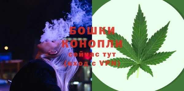 ПСИЛОЦИБИНОВЫЕ ГРИБЫ Балабаново